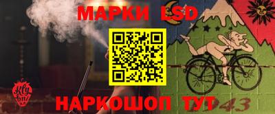 мдпв Краснодар