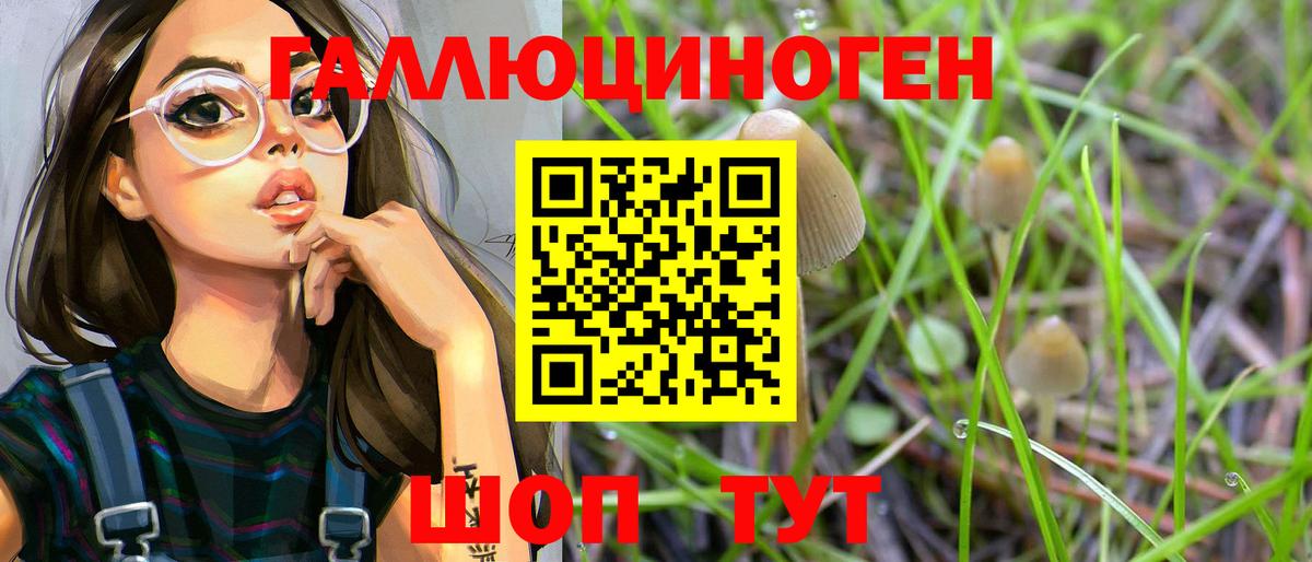 Галлюциногенные грибы мухоморы Качканар