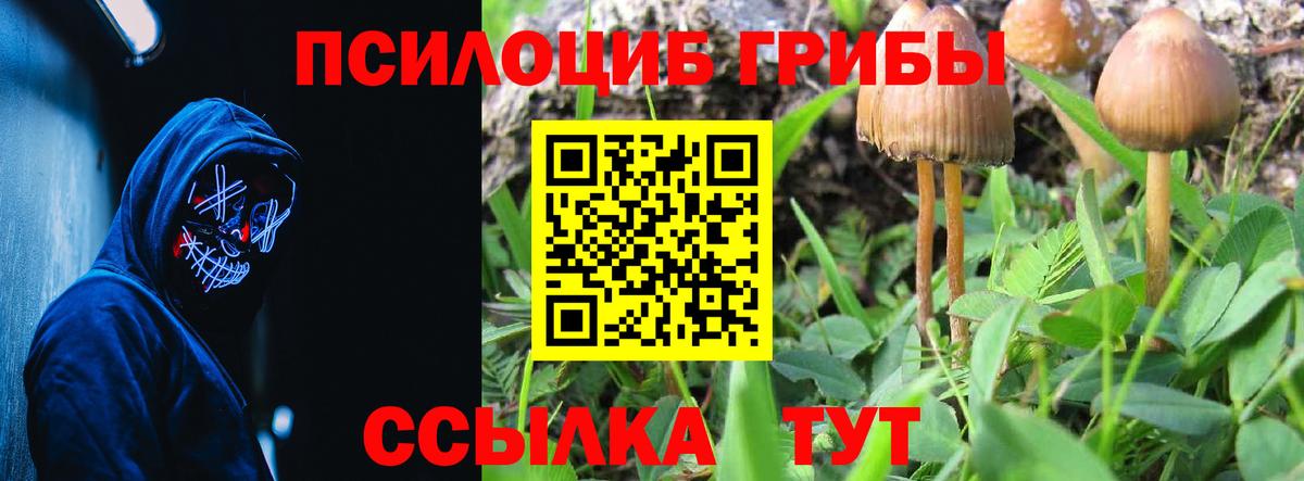 Галлюциногенные грибы мухоморы  Галлюциногенные грибы мухоморы  Качканар  Вход с VPN 